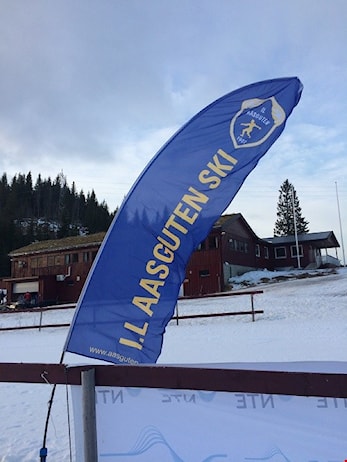Aasgutenrennet